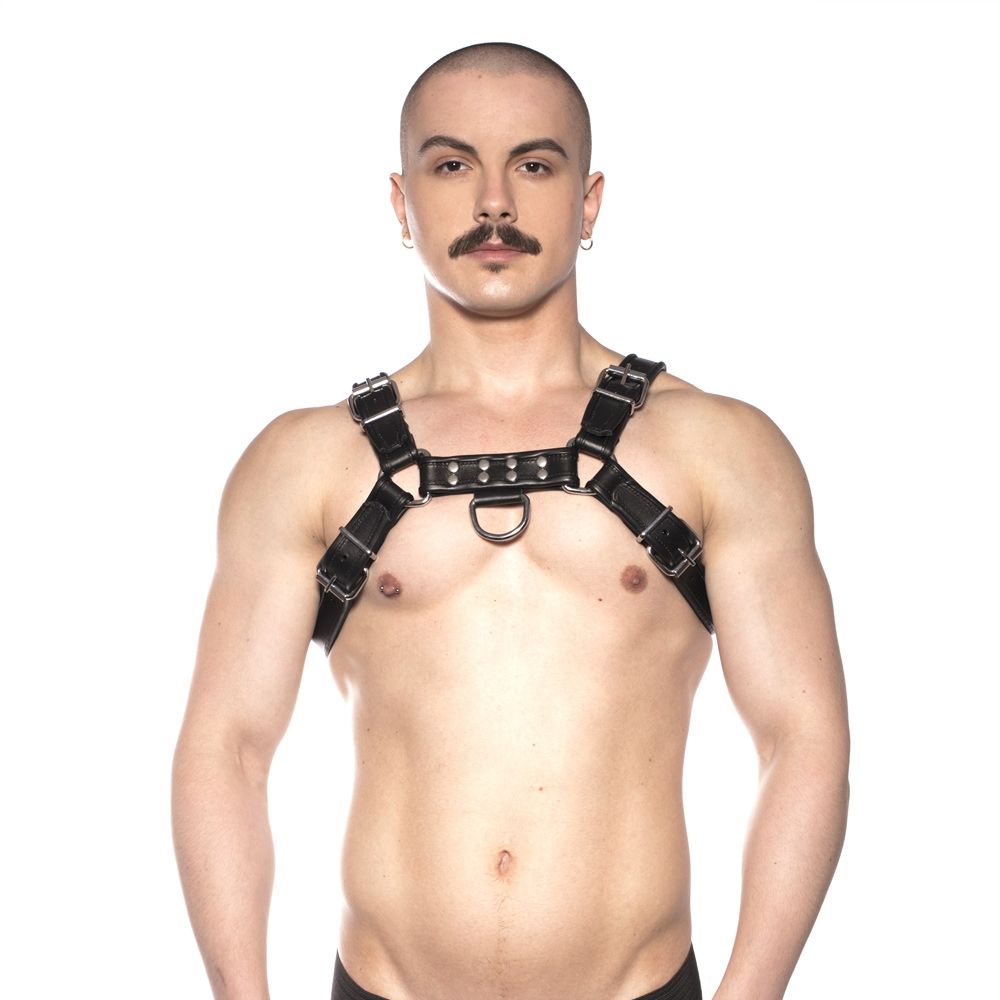 Prowler RED Bull Harness - Black - Small
